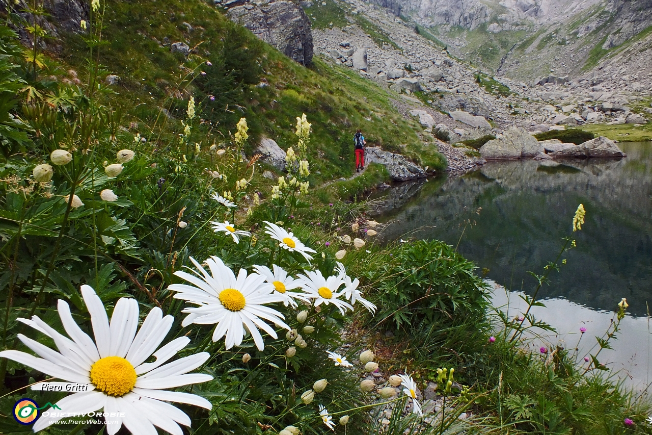 38 costeggiando il lago....JPG